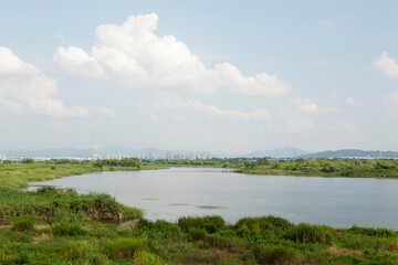 landscape with river