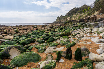 The channel coast at Steephill Cove Beach near Castle Cove, Isle of Wight, UK