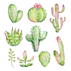 Watercolor cactus set, desert mexican plants