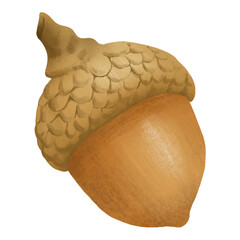 Png hand drawn acorn element autumn plant © Rawpixel.com