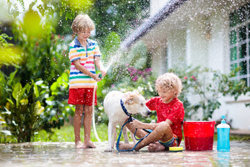 Kids wash dog in summer garden. Water hose fun.
