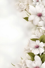 Flowers on a white background with copy space for text writing, floral backdrop with blank space 