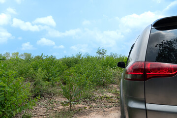 Car grey color on the soil road in the green field. Low-lying forest areas in the tropics. Background of blue sky and white clouds.