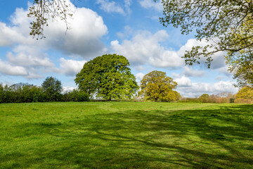 A green Sussex landscape in springtime