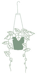 Hanging plant png houseplant doodle