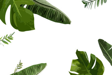 Botanical frame PNG clipart border, green banana leaf transparent background