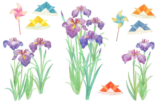 水彩絵の具で描いたこどもの日と菖蒲のイラスト