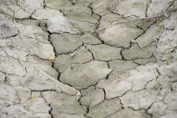 cracked earth texture. dry ground parched soil cracked earth
