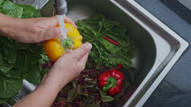 Close-up Female Hands Washing Yellow Sweet Pepper under Water Stream or Shower, Drops of Water Run Down the Surface of the Vegetables in Slow Motion mode. Washing Bell Pepper in Home Kitchen indoor