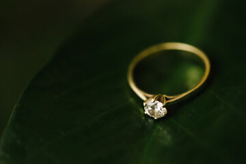 Diamond engagement ring on green leaf. Artistic love jewelry. Romantic gift empty copy space background. Macro closeup golden ring on a plant.