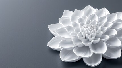   A large white flower atop a black table, beside a gray wall, and against a gray background