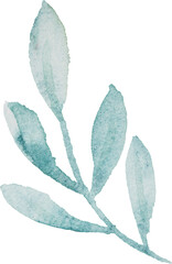 Blue Leaf Branch Watercolor illustration for card website, application, printing, document, poster design, etc.