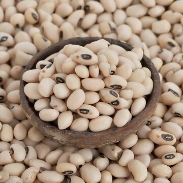 Black-eyed Beans