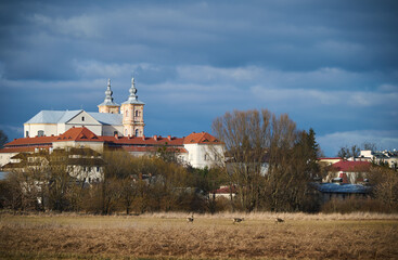 View of the church in Krasnystaw from the meadows and deer grazing in the field