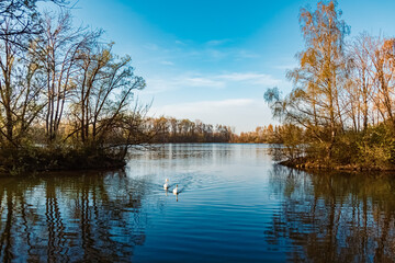 Spring view with reflections near Mamming, Isar, Dingolfing-Landau, Bavaria, Germany