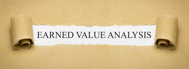 Earned Value Analysis