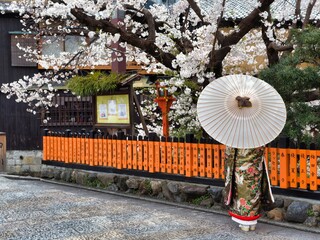 祇園の桜と花嫁