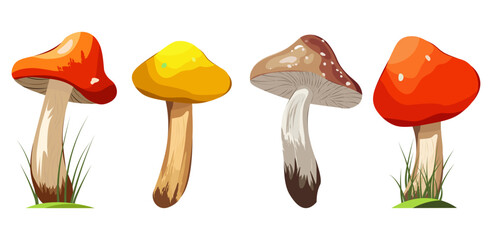 Wild mushrooms. Collection of raw forest edible and poisonous mushrooms. Assortment of poster and banner designs for gourmets, diets, cooking. Bright vector isolated icons.