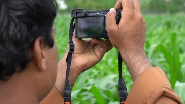 person taking a picture of nature. photographer taking a photo of corn fields. person making video with his camera. nature video or photography. 240fps Slow Motion