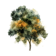 Abstract vector watercolor tree or forest side view isolated on white background for landscape and architecture drawing,elements for environment and garden,botanical for section and elevation