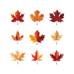 autumn leaves. Fall leafs render autumnal seasons september forest flora, fallen maple natural leaf from tree, welcome canada symbol creative isolated exact vector illustration
