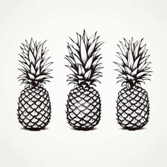 Pineapple | Minimalist and Simple set of 3 Line White background