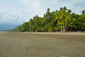 Kostaryka - plaża w Manuel Antonio - obrazy, fototapety, plakaty