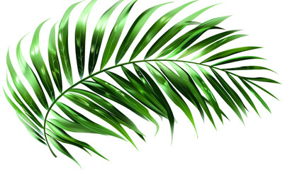 Obraz premium tropical green leaf isolated on white