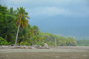 Manuel Antonio -  Rajska plaża w Kostaryce - obrazy, fototapety, plakaty
