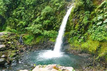 Malownicza sceneria - wodospad w dżungli w Kostaryce - obrazy, fototapety, plakaty