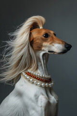 Portrait of a beautiful dog with white and red  necklaces. Silver background.