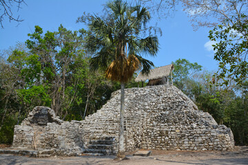 Ruiny świątyń i budowli kultury Majów w mieście Koba na Jukatanie w Meksyku - obrazy, fototapety, plakaty