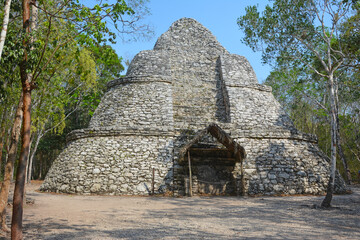 Koba, Meksyk, Jukatan, Ruiny piramid tajemniczej kultury Majów odkryte w dżungli - obrazy, fototapety, plakaty