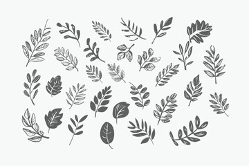 black branch leaf element set. Hand drawn sketch doodle black leaves floral element set for wedding background, elegant design. Minimal style Vector illustration on white background,