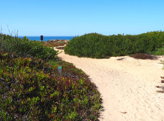 Hiking adventure fishermans trail named Rota Vicentina through the beautiful nature of Portugal