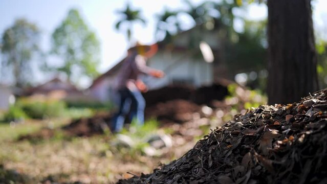 Heaps of leaves make organic compost.