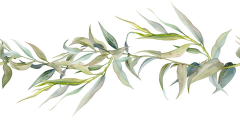 Hand drawn watercolor illustration botanical green leaves. Osier ash oak acacia blackwood willow lancet eucalyptus laurel branch. Seamless banner isolated on white. Design wedding, love cards, shop © Elena