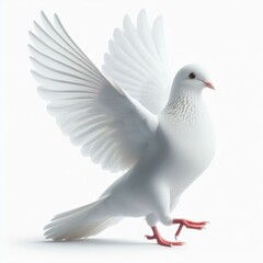 Image of isolated dove against pure white background, ideal for presentations
