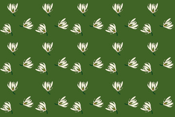 Abstract pattern of chempaka flower blooming on green background.