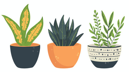Houseplant in pot isolated. Vector flat style cartoon