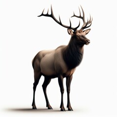 Image of isolated elk against pure white background, ideal for presentations
