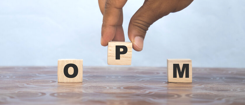 OPM operating profit margin