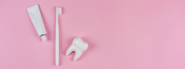 A healthy white tooth, a toothbrush and a toothbrush on a pink background. The concept of a dental clinic, dentistry, health care, oral care. Oral hygiene, professional teeth cleaning. Copyspace text