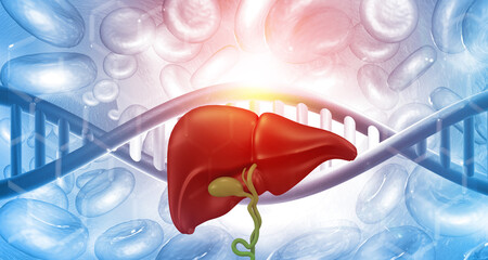Healthy liver anatomy on scientific background. 3d illustration.