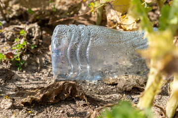 Discarded plastic bottle with condensation among dry plants, highlighting environmental issues.