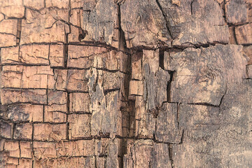 Old wooden surface. Abstract background.
