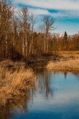 Spring view with reflections near Grieshaus, Moos, Deggendorf, Bavaria, Germany