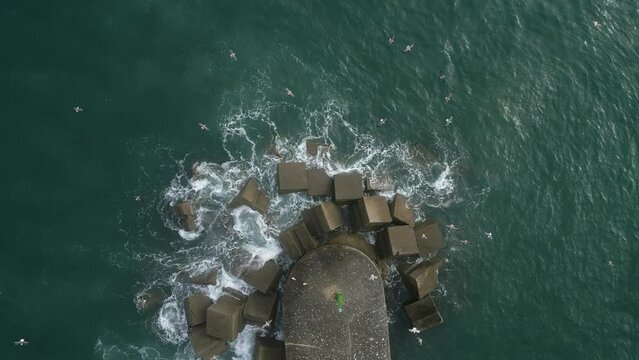 Seagulls flying over ocean waves breaking on breakwater