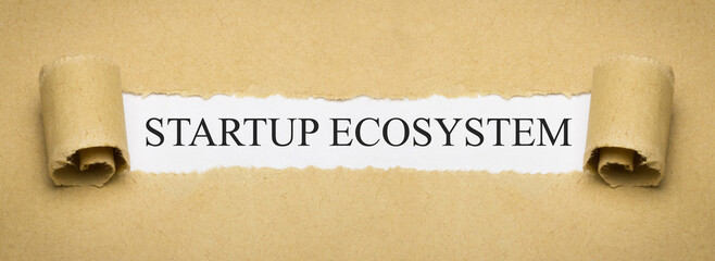 Startup Ecosystem