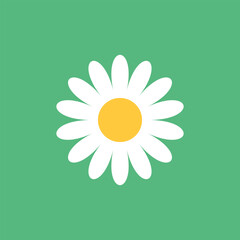 Daisy chamomile icon in flat style. Flower vector illustration on isolated background. Floral sign business concept. - 790025515